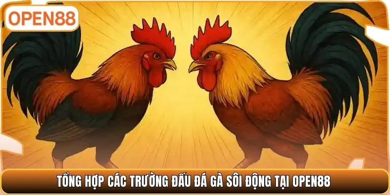 Tổng hợp các trường đấu đá gà sôi động tại OPEN88